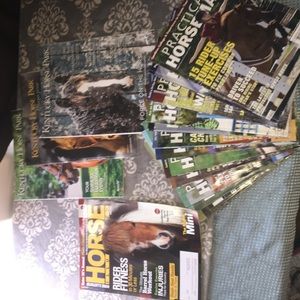 Lots of horse magazines!